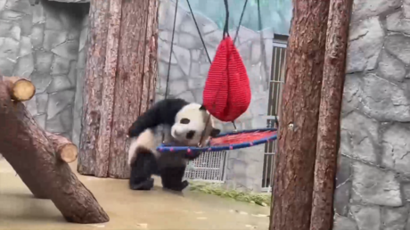 Investigan al jefe del templo Shaolin por malversación y relaciones inapropiadas con mujeres 8 VIDEO: 'Kung Fu Panda' de Moscú en acción